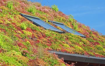 Trehunist living roof systems