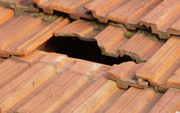 roof repair Trehunist, Cornwall